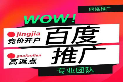 百度竞价账户托管案例研究：提升广告投放效率